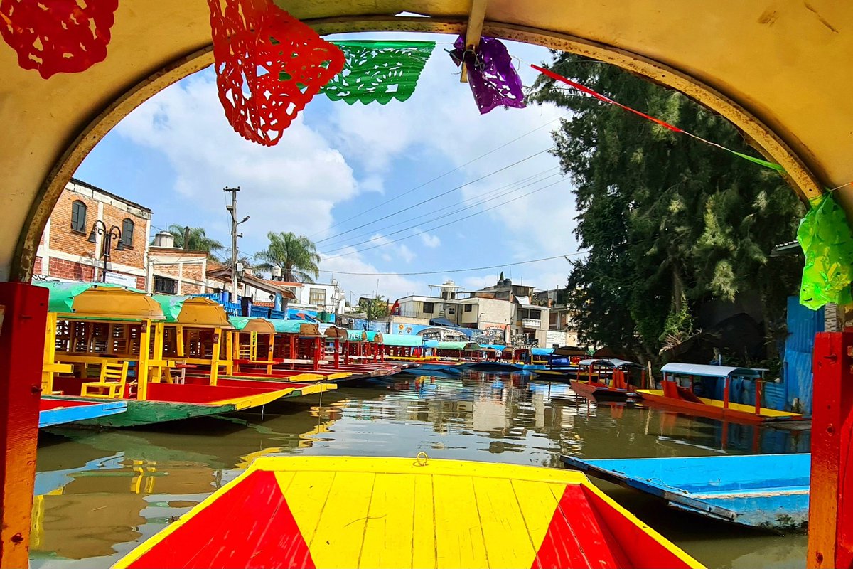 Sergio Manrique tweet media