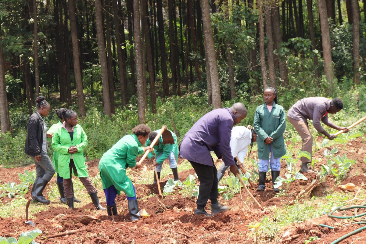 TheKabetePoly's tweet photo. Agriculture sustains life by feeding nations, creating jobs, and driving economies. It provides raw materials for industries, supports rural communities, and plays a vital role in environmental balance. https://t.co/Ax0qM6nu47