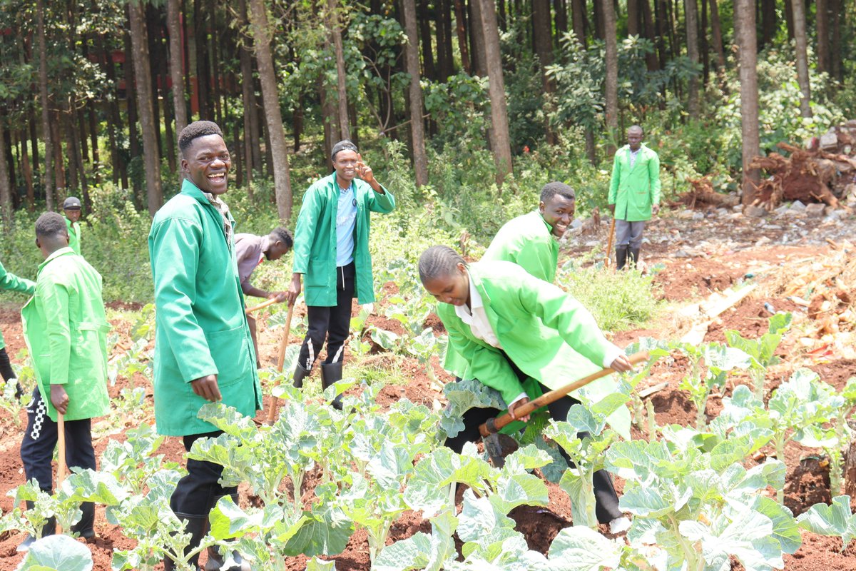 TheKabetePoly's tweet photo. Agriculture sustains life by feeding nations, creating jobs, and driving economies. It provides raw materials for industries, supports rural communities, and plays a vital role in environmental balance. https://t.co/Ax0qM6nu47