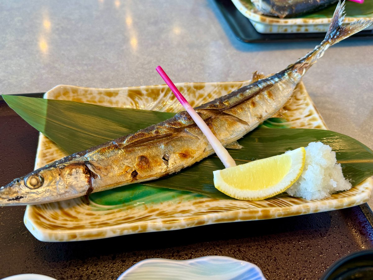 🐟南三陸の秋の味覚、さんまが旬！🐟

レストラン「シーサイド」にて
✨「さんまの塩焼き定食」✨ 提供中！
香ばしく焼き上げた旬のさんまをぜひご堪能ください。
志津川湾を望む絶景とともにお楽しみいただけます。

#南三陸ホテル観洋 #レストランシーサイド #さんまの塩焼き #秋の味覚