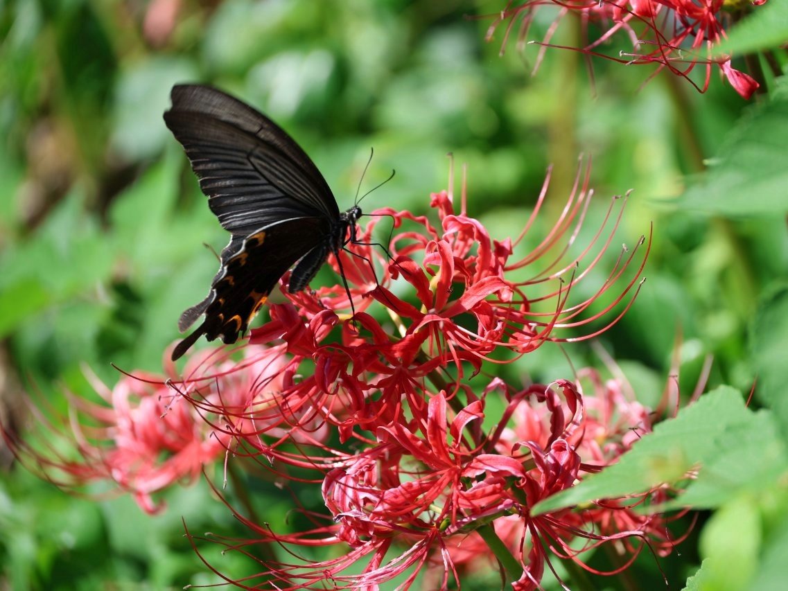 やまさん (@yama30629x) / Posts / X