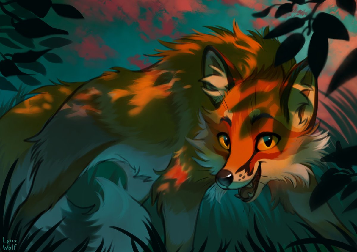 Lynxwolf3's tweet photo. fox https://t.co/Mt3OuebNHh
