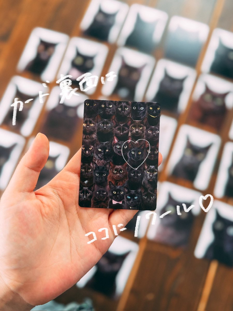 yuiii@ねこ休み展 (@yy221126) / Posts / X