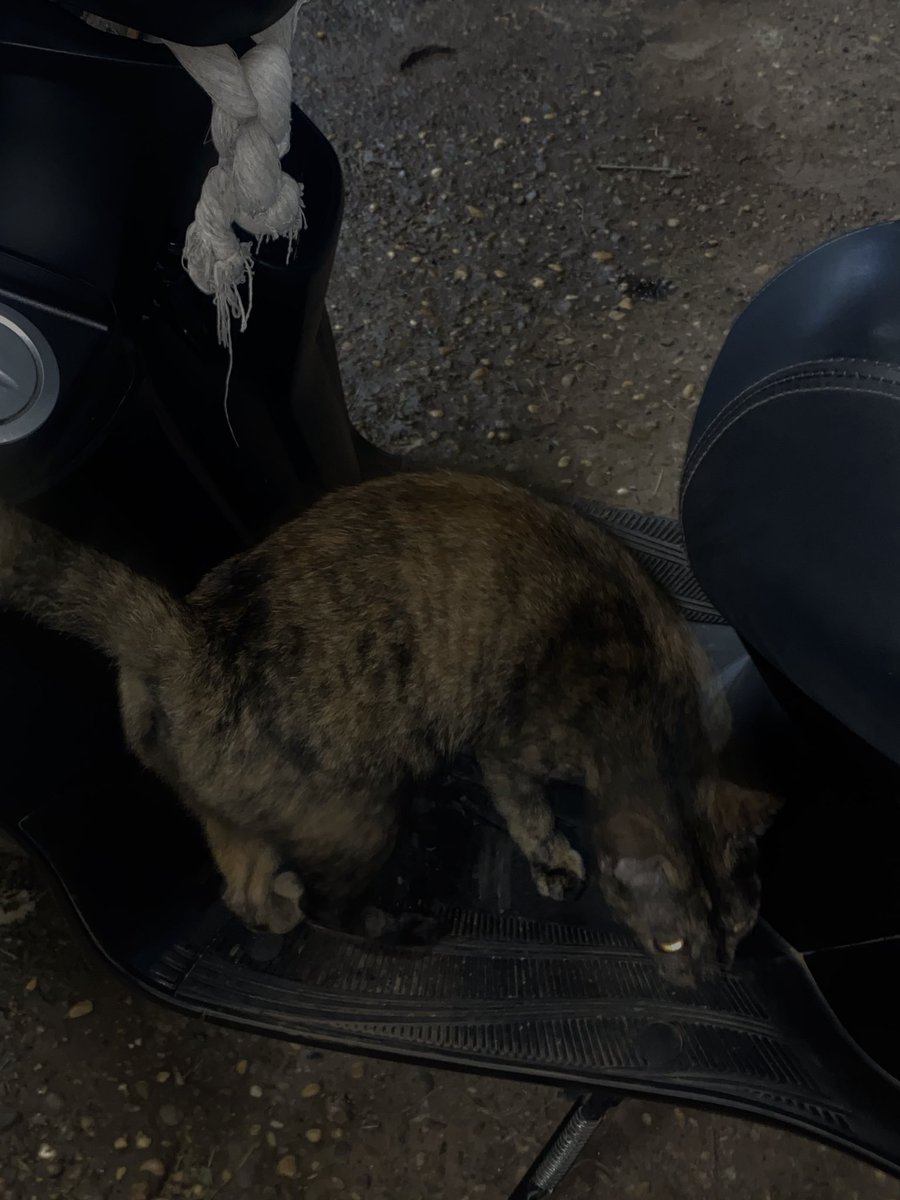 อยากกลับบ้านกับพี่ก็ไม่บอกหนู