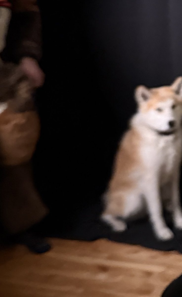 Free-range, organic, grain fed Wiiffler tweet media