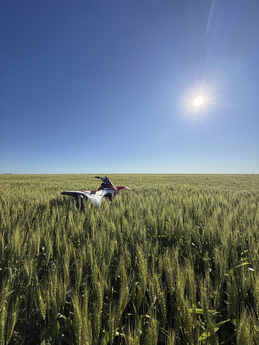 EmiMedail's tweet photo. Ahí venimos todo en marcha y lindo x ahora 🌻 🌽 🌾 https://t.co/hUkmqLB6j5
