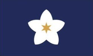 martianapples's tweet photo. Lemme ask u something. Whats your favorite MA flag candidate https://t.co/Ju1zCCWa1x