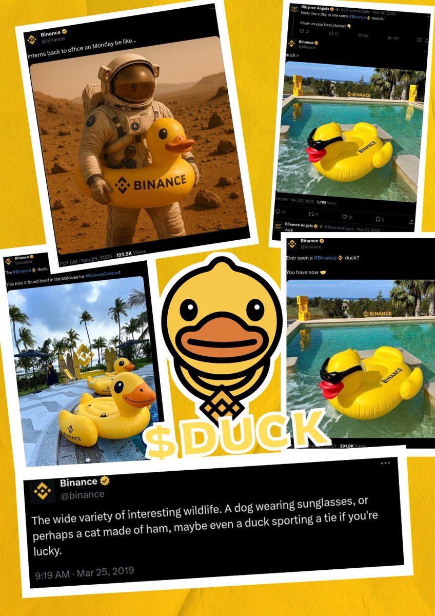 For years, Binance has been speaking in signs - teasing the image of a duck.
Sometimes, it appeared in an official post. Sometimes, it was in a reply. Once, Binance even mentioned a duck in the same breath as dogs and cats - placing it among the internet’s most iconic meme