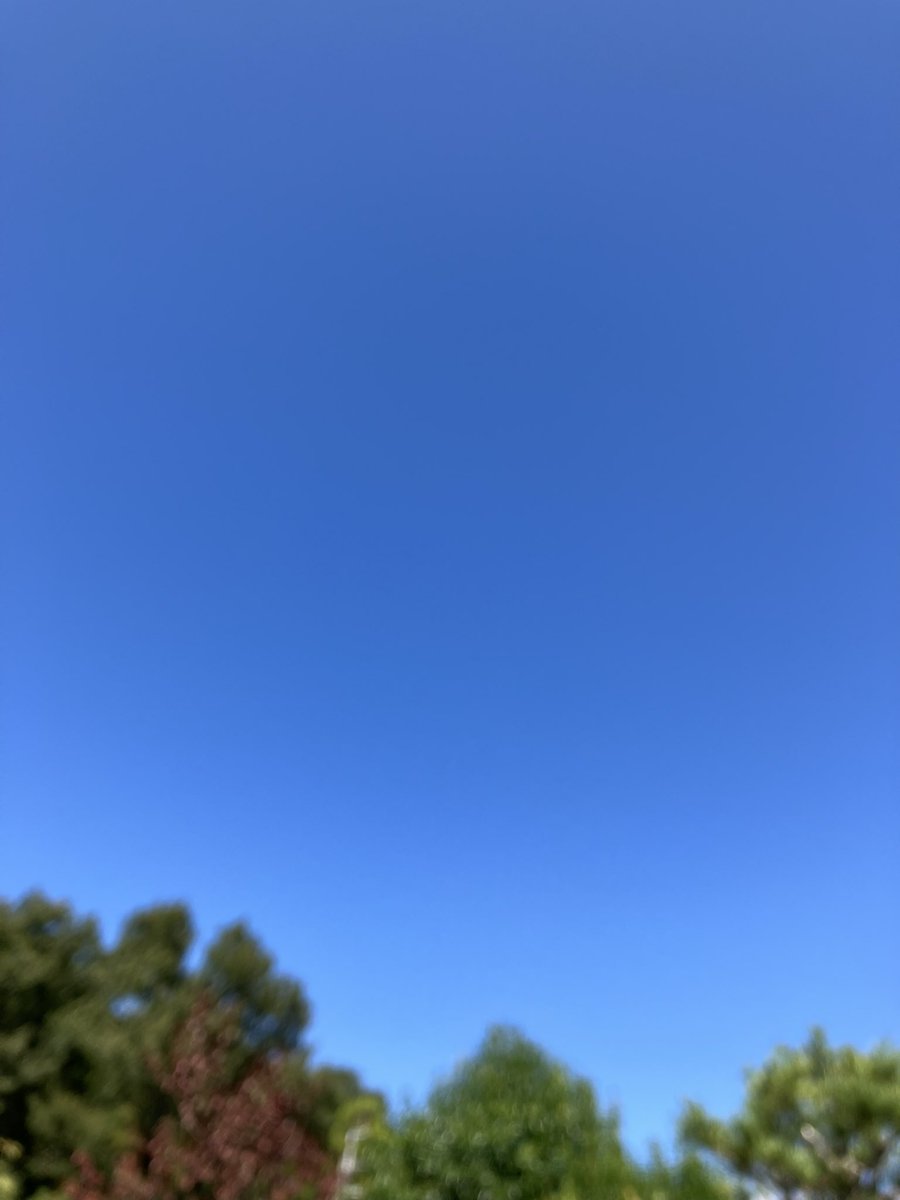 hyperbird6's tweet image. #イマソラ