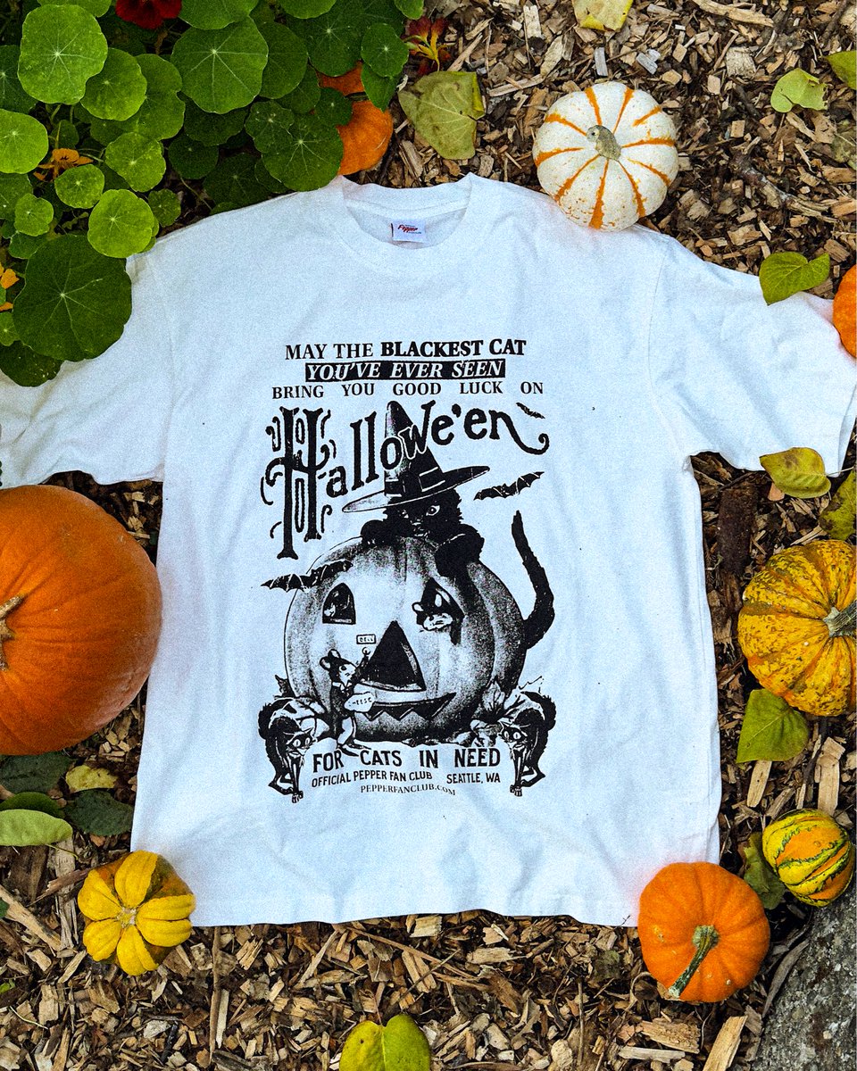 WAneedsbucees's tweet image. Halloween shirts on my website

Printed by hand

Over $500 raised for cats in need

pepperfanclub.com