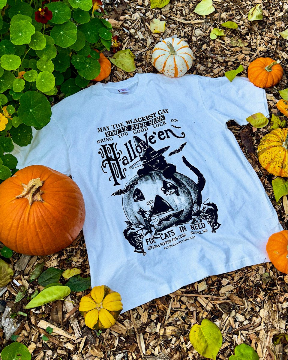 WAneedsbucees's tweet image. Halloween shirts on my website

Printed by hand

Over $500 raised for cats in need

pepperfanclub.com