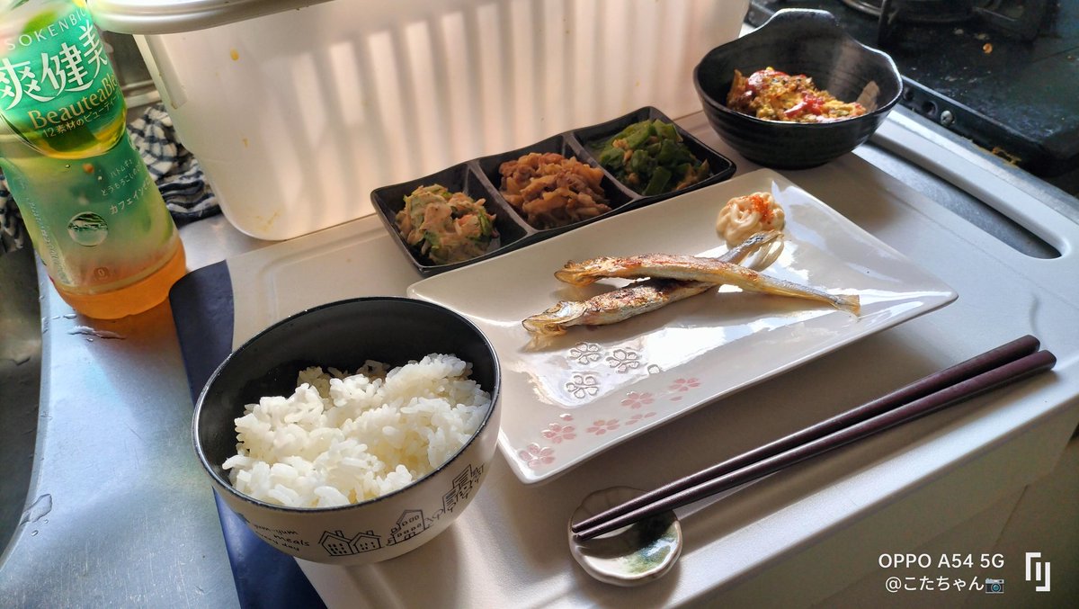 Shyokunin_k's tweet image. 皆さんおはようございまーす☺
さて、ちょっと遅い
今日の手作り朝御飯🍚🥢
1⃣ごはん
2⃣具だくさん豚汁
3⃣無限ピーマン
4⃣きゅうりのサラダ
5⃣具だくさんオムレツ
6⃣ししゃも🐟
#朝御飯
#朝メシ
#朝食
#朝ごはん
#おれめし
#手作り料理
#少食男子