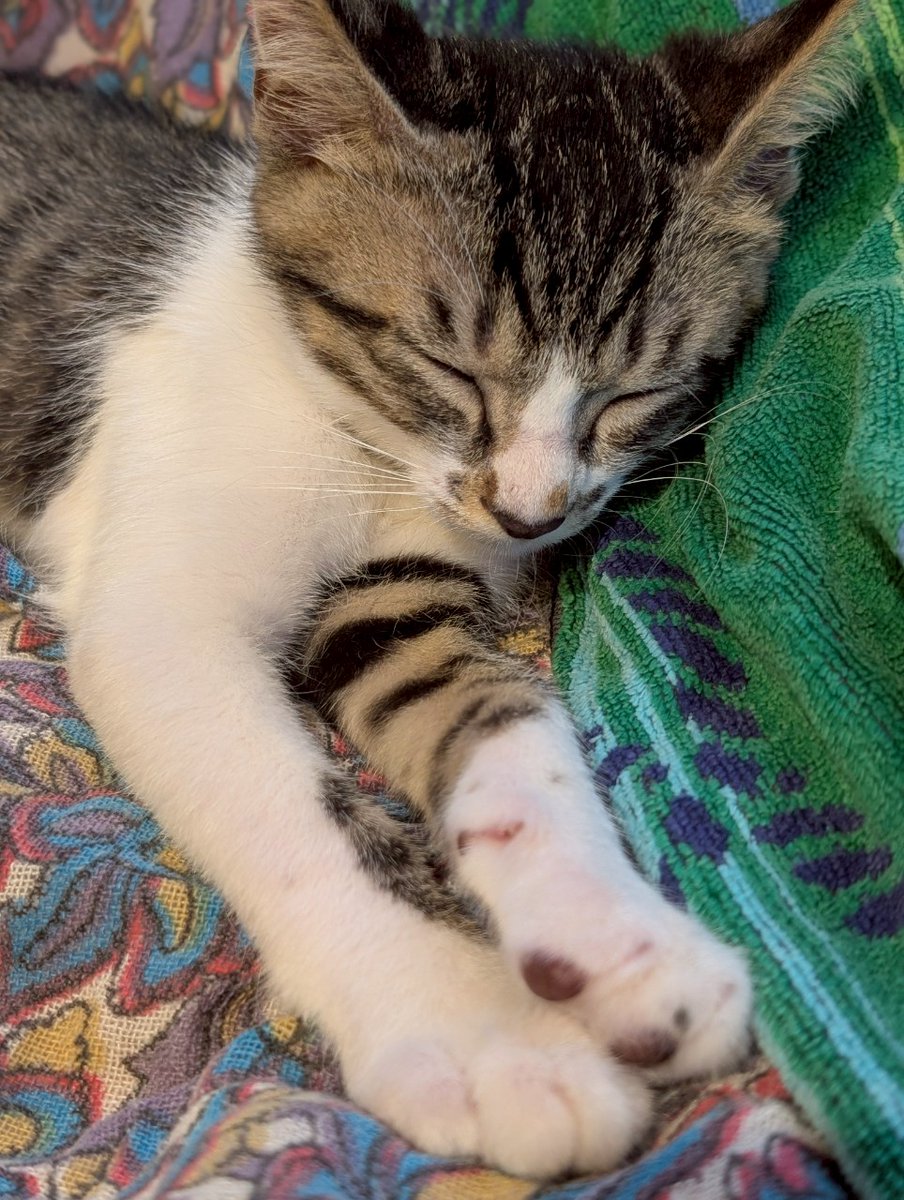 S.H ♡断捨離中です。他の方は購入できません。 断捨離】紙ゴミの中から出てきたすごいモノとは？ | 暮らしを