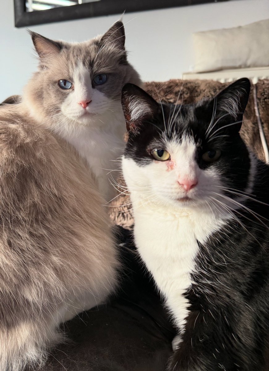 Brofur &amp; Sisfur united for once 😻😻 me and my sisfur Buffy