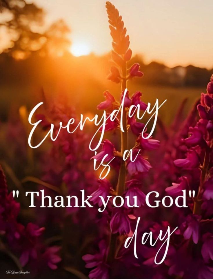 POSITIVITY (@positivitysaid) on Twitter photo 