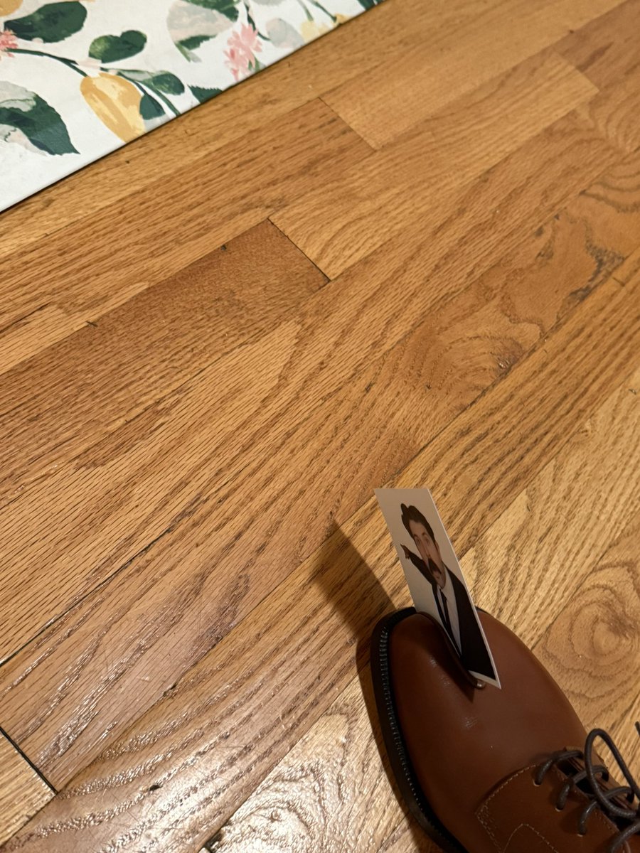 bella | gpp 🔜 los angeles, indy tweet media