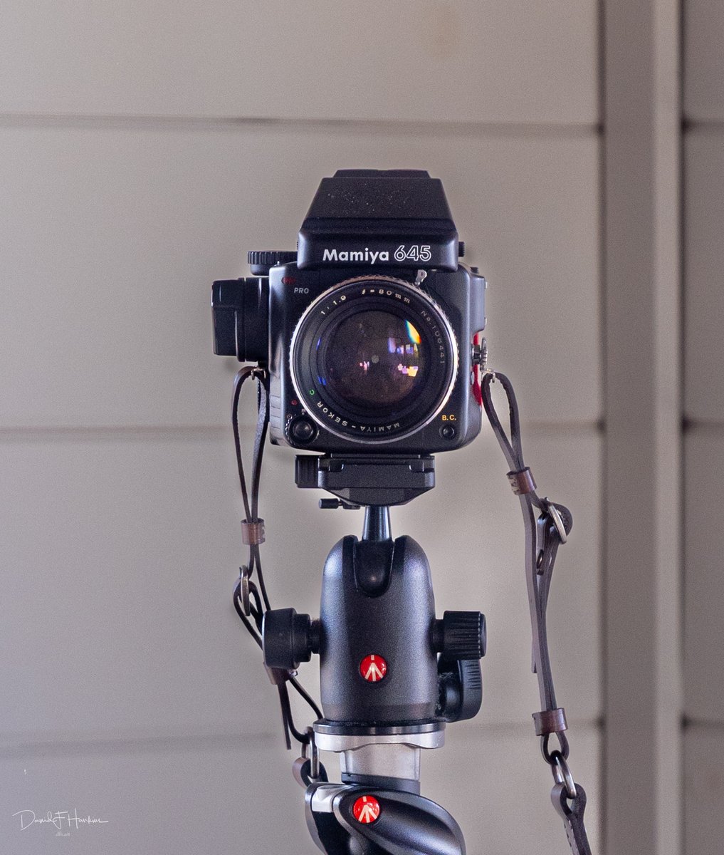 dave (@dfh_art) on Twitter photo 