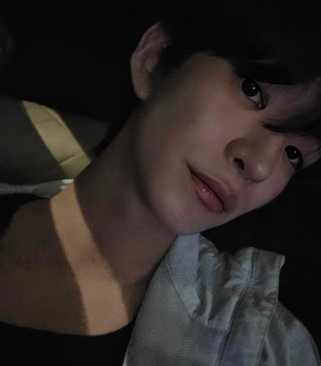 멜 ✨ tweet media