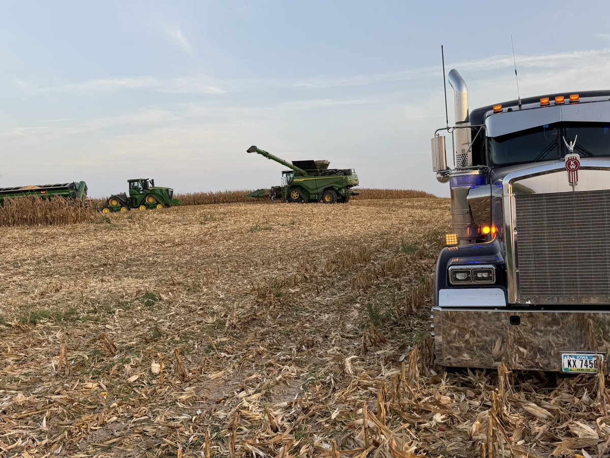 IowaHuntMan's tweet photo. Harvest is in progress. Not bad for a farm truck https://t.co/agQ6PkhHMF