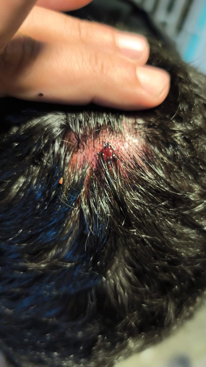 UNIDAPP Colombia tweet media