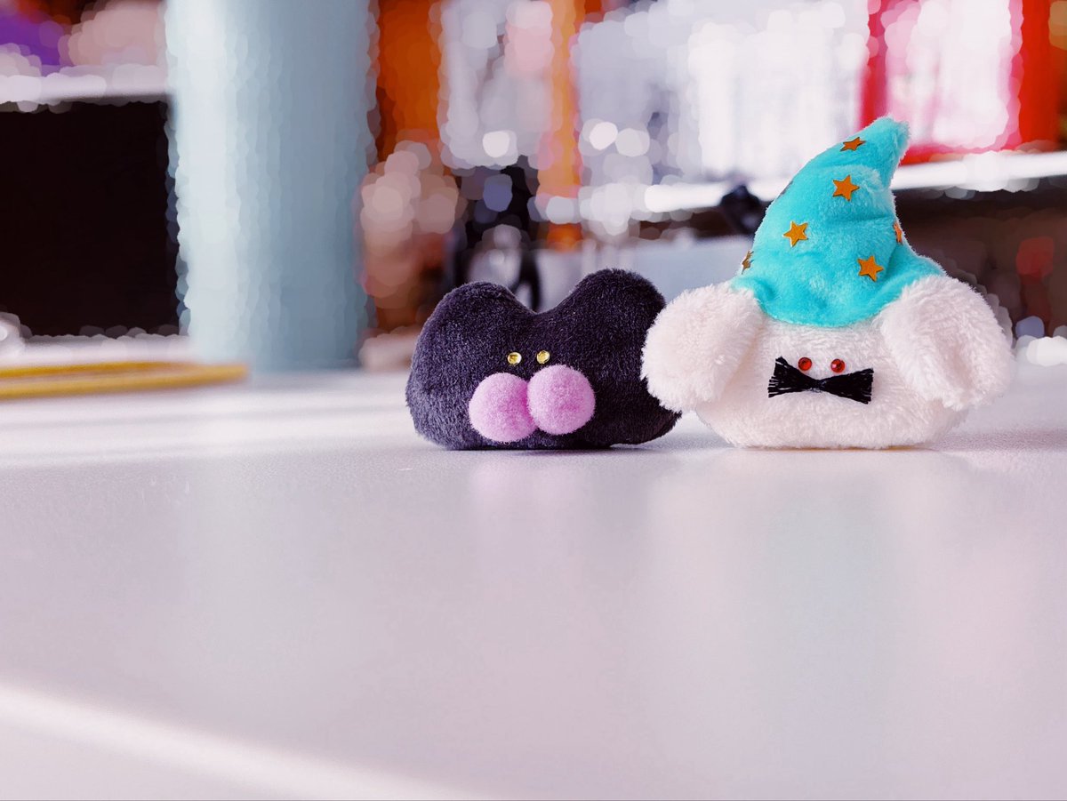 生まれるのわーみに間に合わなかった2匹🧙‍♂️🐈‍⬛
ぬいドルにいこうねハロウィンはおわっちゃうけど