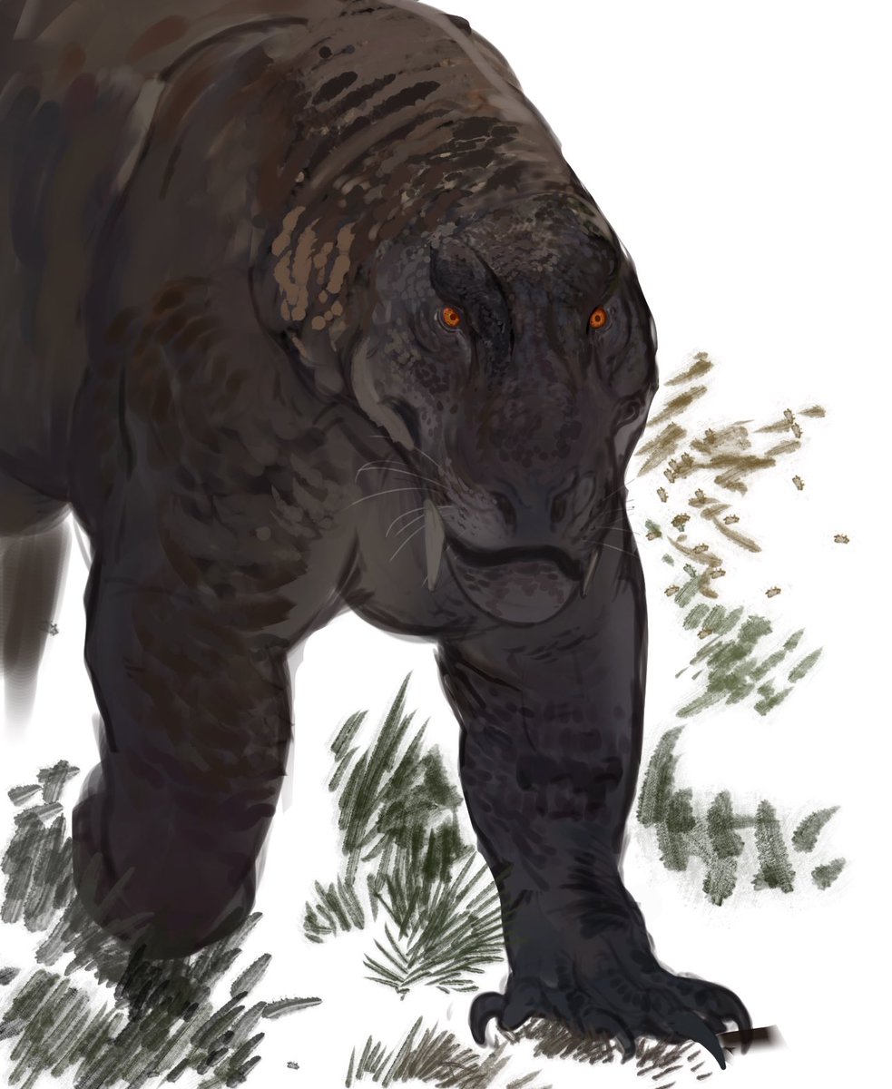 not a paleo artist but heres a wip of an inostrancevia. Be cause , i like #them 🐈