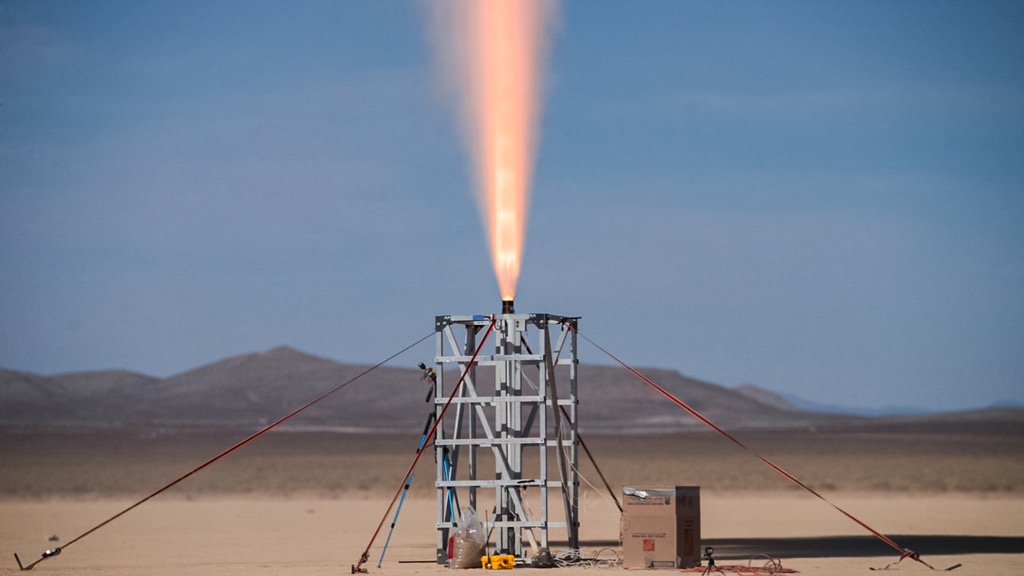 Cam 🌹 tweet media