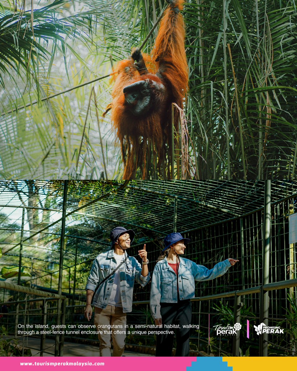 Tourism Perak tweet media