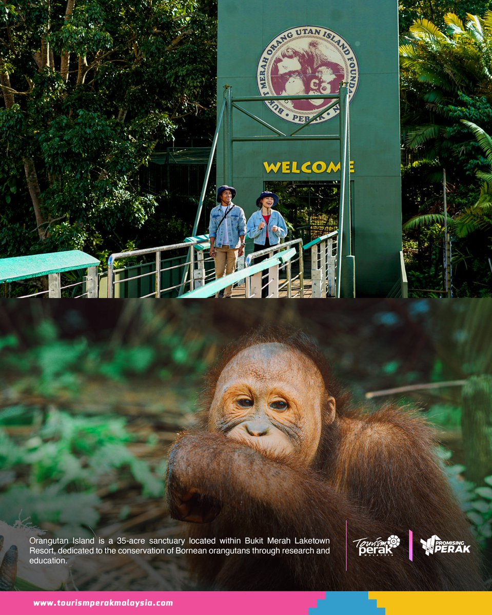 Tourism Perak tweet media