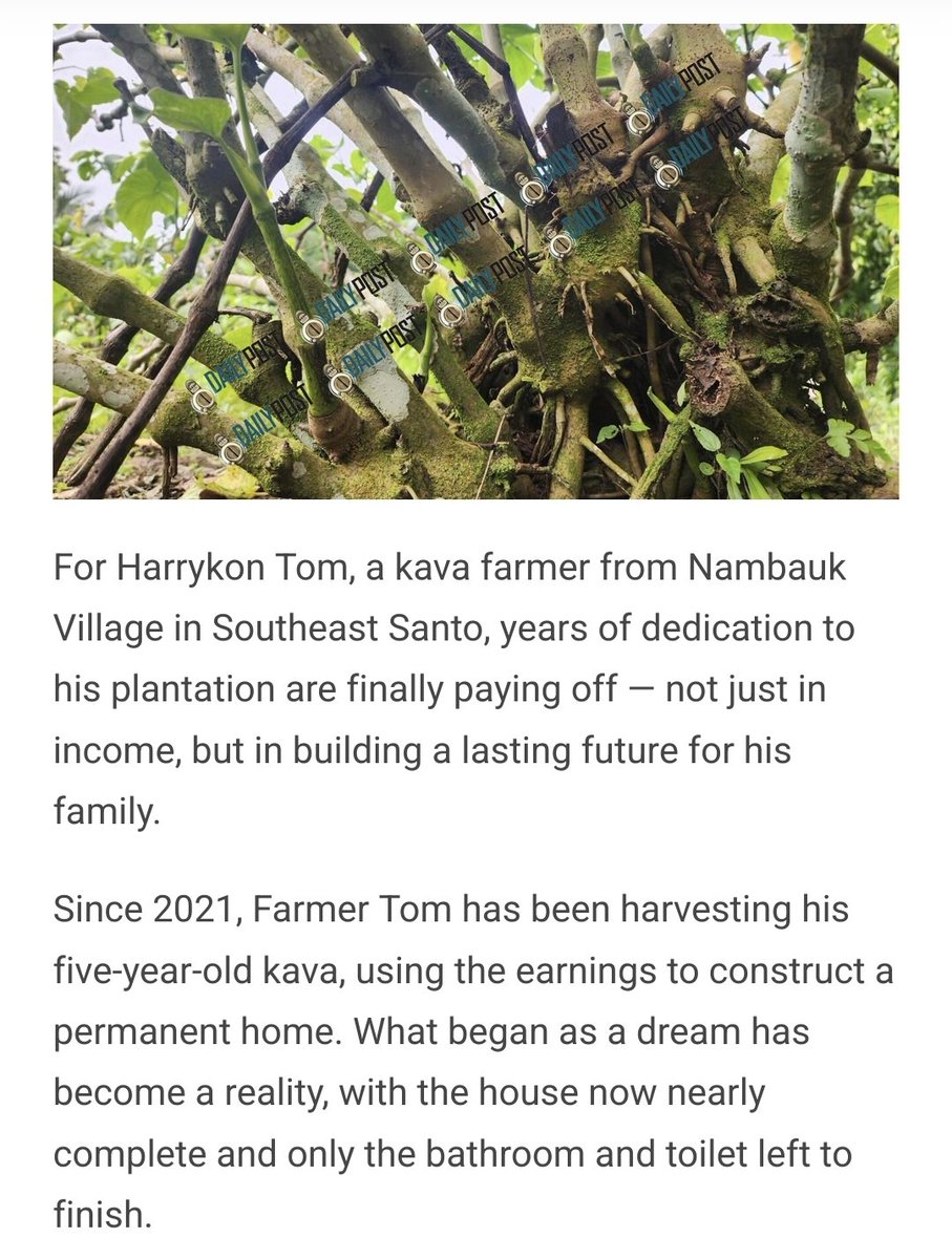 The kava industry's success and impact on Pacific households have been remarkable. Perhaps the single innovative, advanced industry the region has ever seen. 

Even more remarkably (or not surprisingly?), it's also the one sector that has grown with practically no foreign aid.