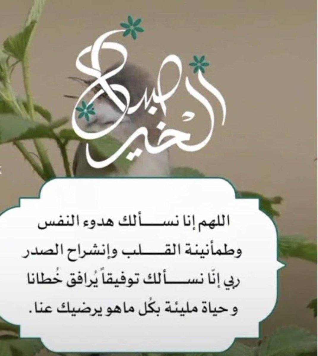 د. سَحر خيَّاط /Dr. Sahar Khayat (@saharkt) on Twitter photo 