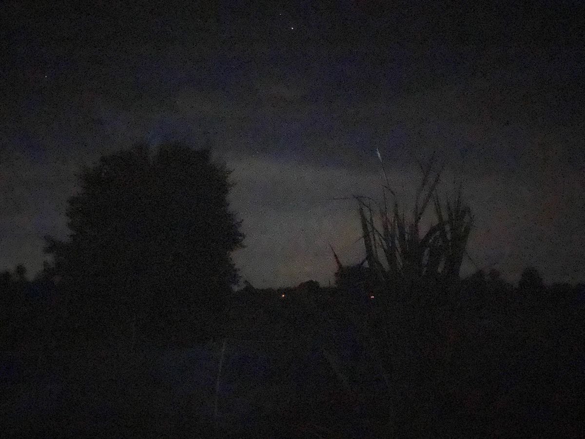 dreamland (@dreamland_usa) on Twitter photo 