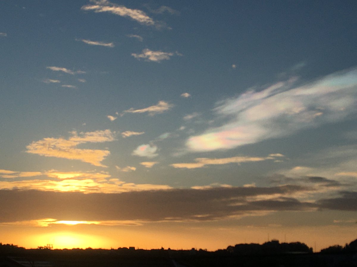 高台の平屋で暮らしているんだけど、庭に出てコーヒー飲みながら日の出を見るのが日課で。今日は雲に虹色が掛かっている現象が見られた。彩雲（さいうん）と呼ばれるものらしく、良いことが起こる前兆だそうな。ほんとか？