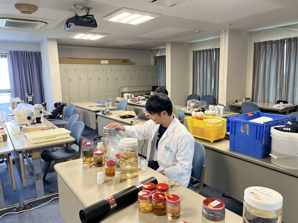 名古屋大学菅島臨海実験所 NU-MBL (@nu_mbl) on Twitter photo Ocean Census × JAMSTECのWorkshopに参加しています。皆で航海で採れた生物を同定し、新種を探しています Ocean Census × JAMSTECのWorkshopに参加しています。皆で航海で採れた生物を同定し、新種を探しています