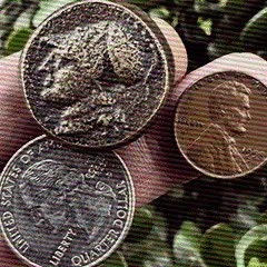 DankSplats's tweet photo. @Ordinals10K @veryordinally @trygamma @SignalsArt Inscription #105780782
some coins inscribed on a bitmap
by me, a few weeks ago, 2025. https://t.co/Y3MScvfN80