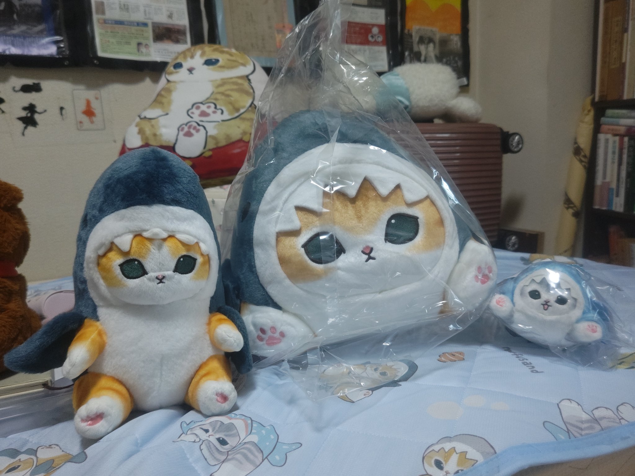 ごろりん！サメにゃんズくじA賞3点セット ごろりん！サメにゃんズくじA