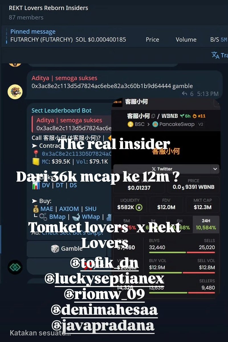 Tomket Lovers Community tweet media