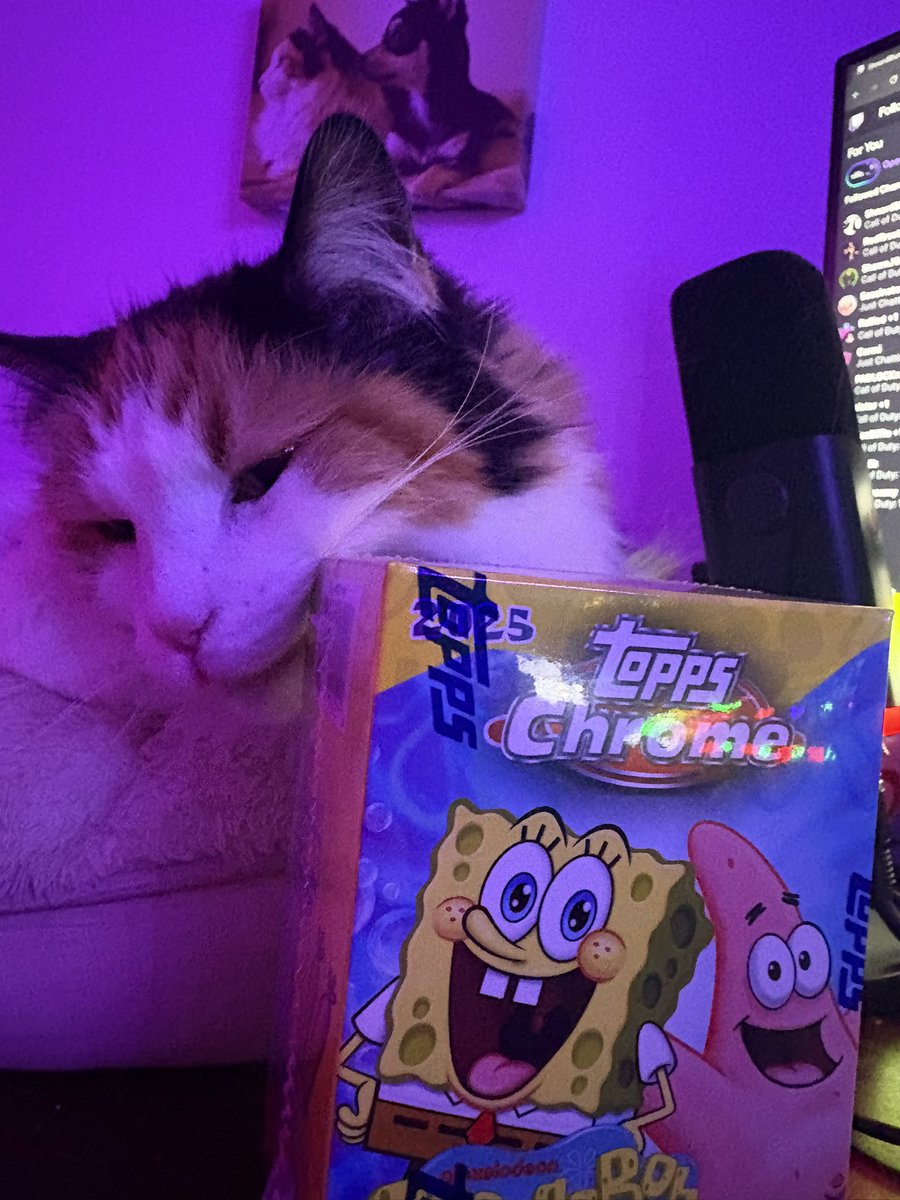 I’m live opening a $60 Soongebob card pack!! Never opened cards before wish me luck!! Twitch.tv/saltshakerness
