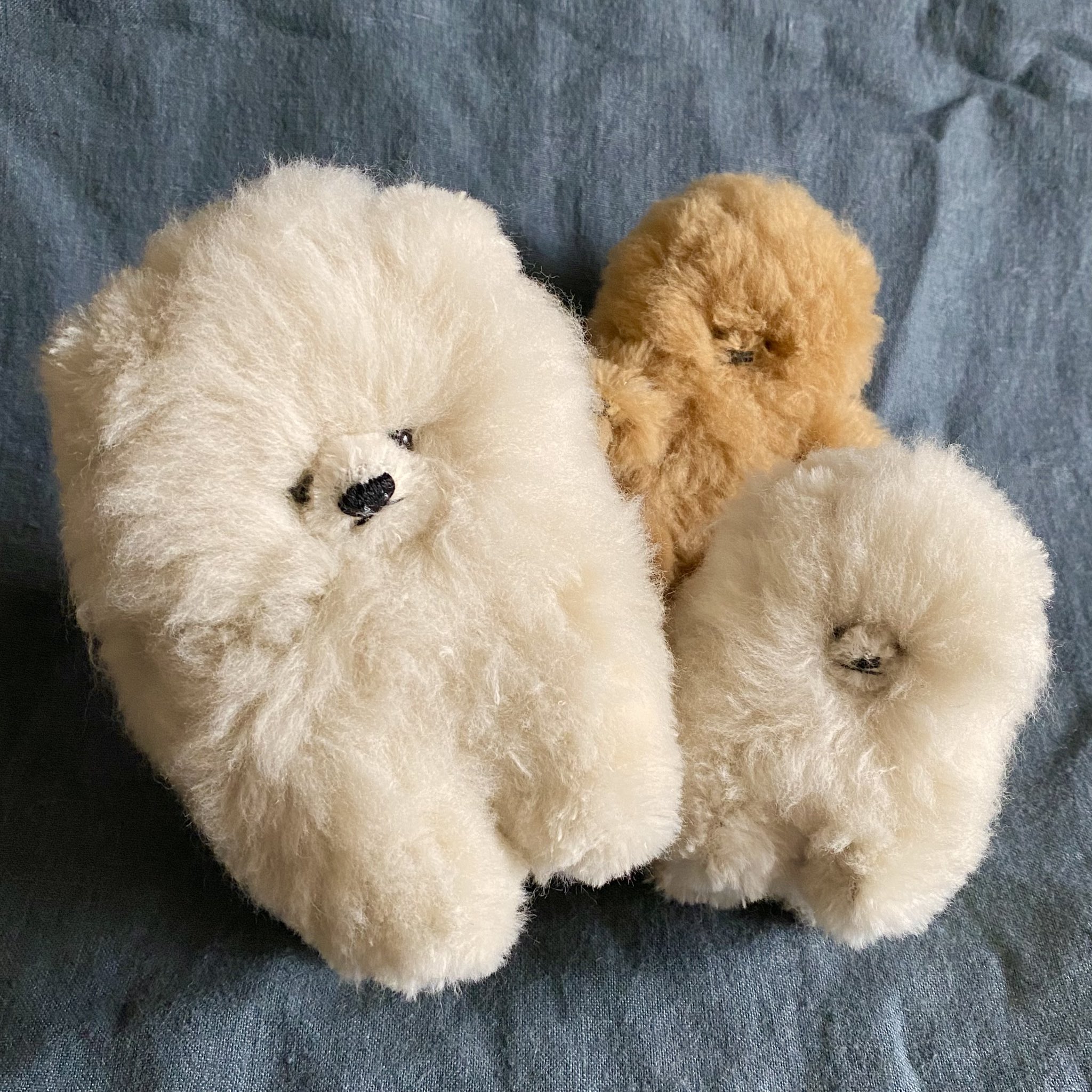 なんこつ (@nankotsudesu315) / X