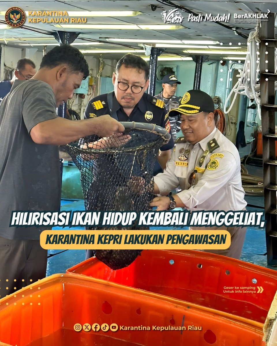 Setelah sempat terhenti kurang lebih enam bulan, aktivitas ekspor ikan hidup tujuan Hongkong dari Kabupaten Natuna akhirnya kembali menggeliat.