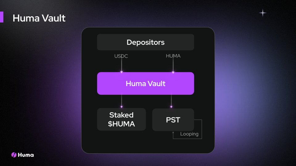 Huma Vault 기능