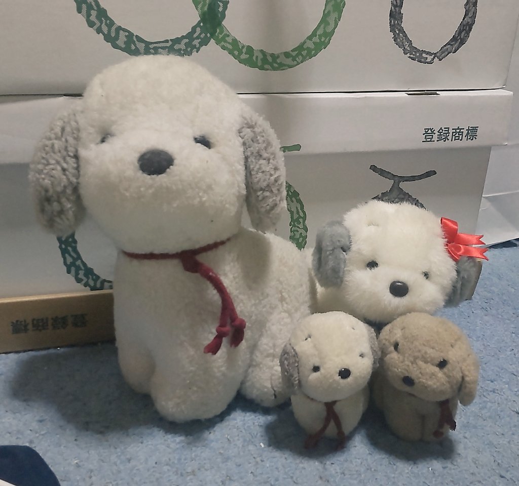 ichiro_12_06's tweet image. #水ひな
こんにちワン🐶
ワシは｢うめきち｣のぬいぐるみを保育園～小１にかけ白うめ(大＆小)と茶うめを買ってもらったのと、20過ぎにリボンがついた｢あやか｣ちゃんを迎えました😊
誕生が1983年で42年の歴史があるのと、女の子verがいるのに驚きました(笑)