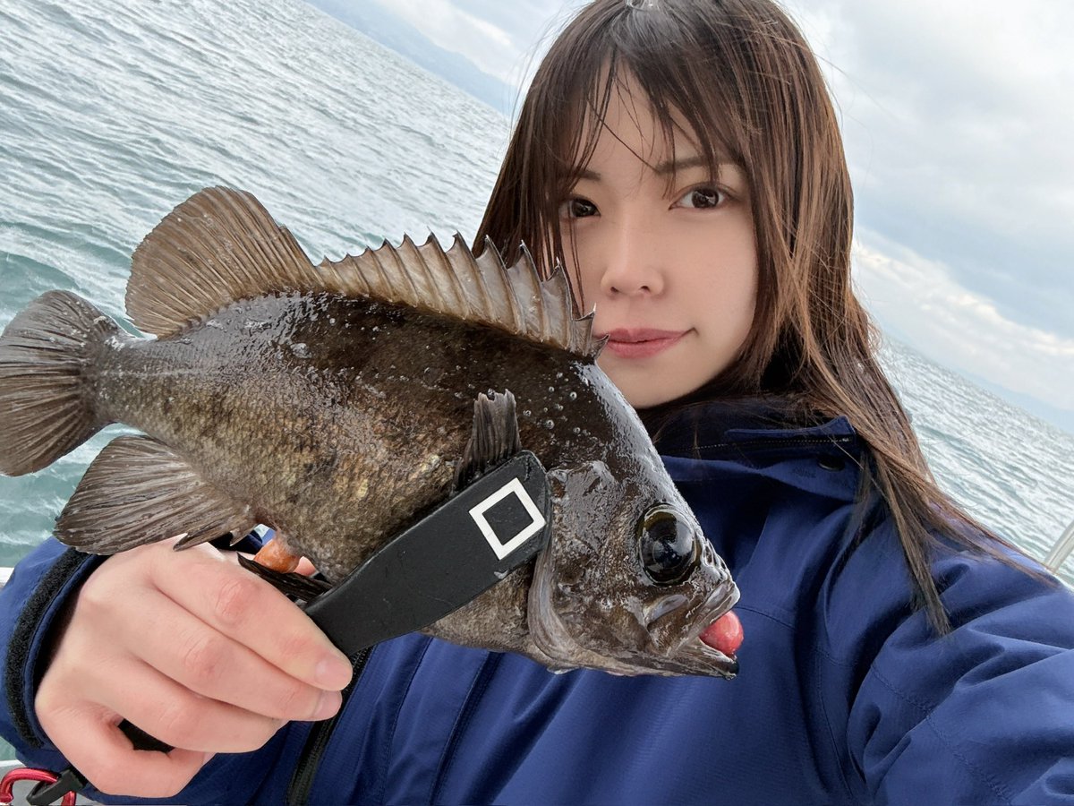 chiwapple's tweet image. いつだってメバルは遊んでくれる🐟

秋になってきたねー！寒いよ！！！