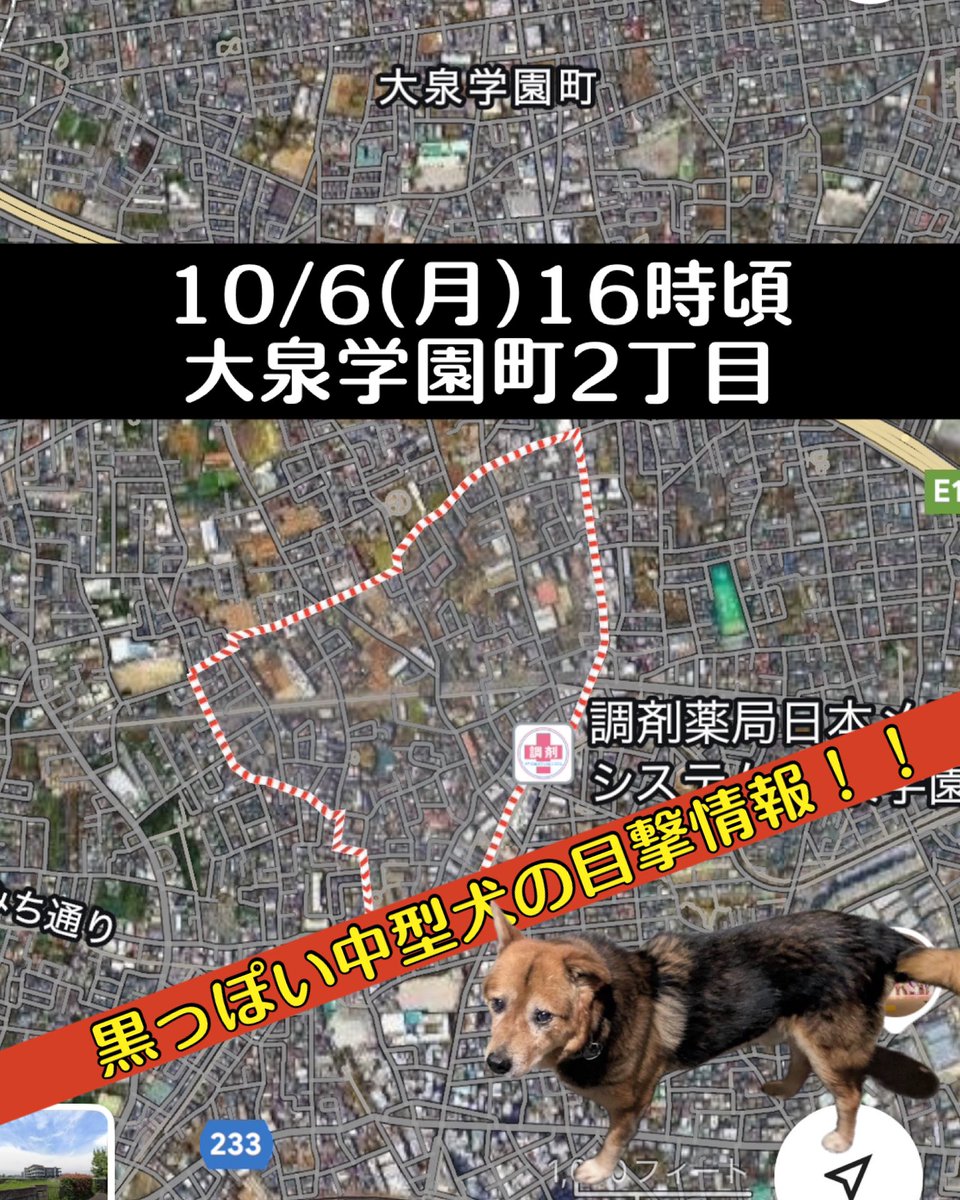 hiro 様 確認ページ❗ お客様番号でログイン｜お客様マイページ｜大塚商会