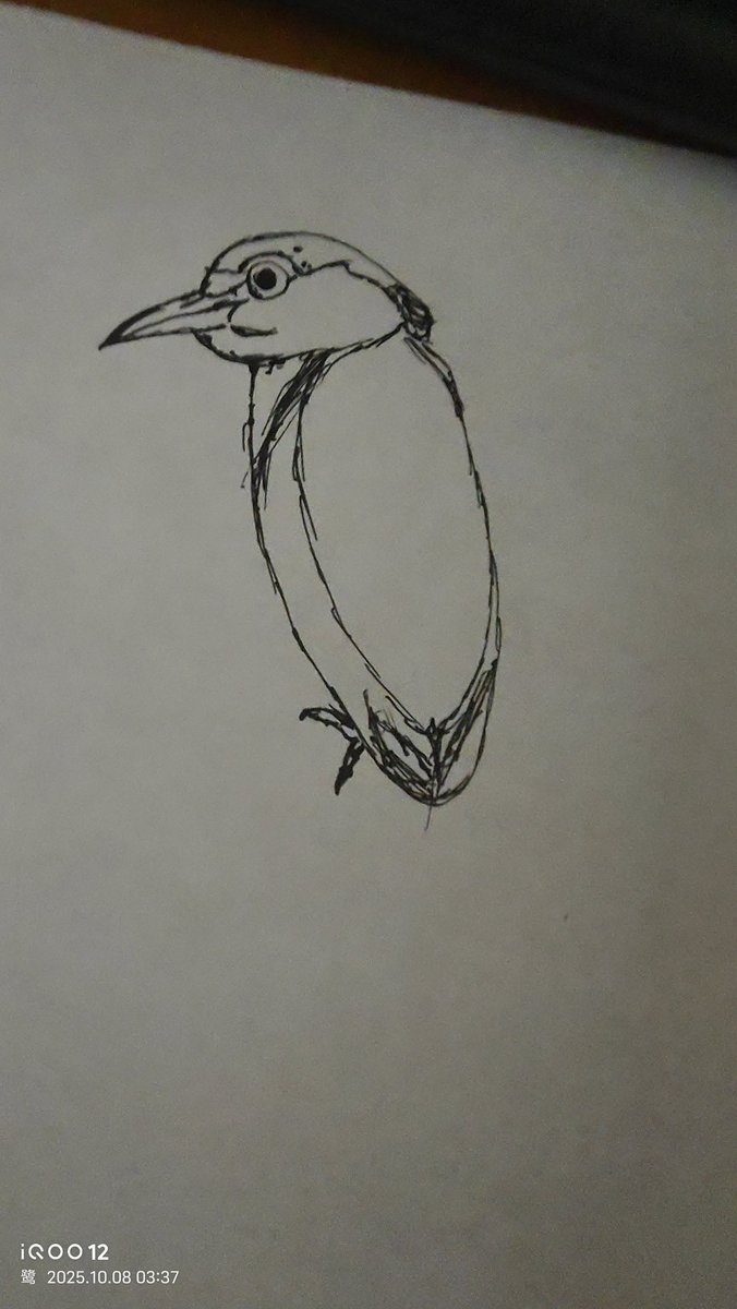 怎么会有人三更半夜不睡觉画一只胖鸟