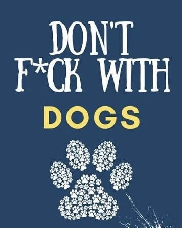 fistandilus12's tweet photo. @KitsuraNines It’s unacceptable, everyone should come together on this one. Using you dog as a prop and shocking it for simply trying to get comfortable.
#dontfuckwithdogs https://t.co/WrhT0pUQzL