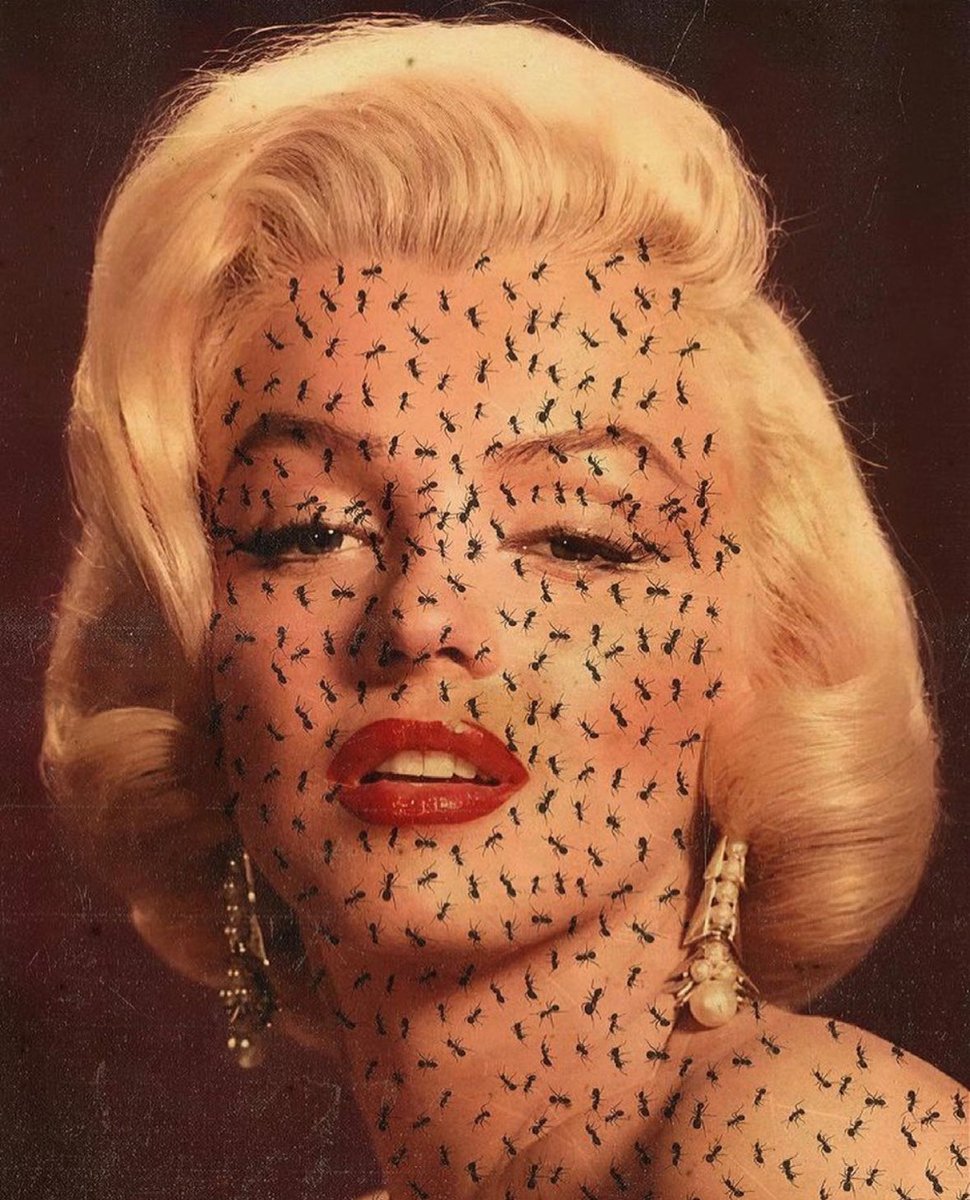 nightmarepolka's tweet photo. Marilyn Monroe covered in ants. You are welcome. https://t.co/breK0Cxqpu