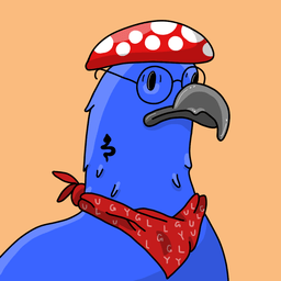 One of my favorite birds <a href="/Gully_Flock/">Gully☀️</a> 
#Algorand 
Go get yours #Algofam