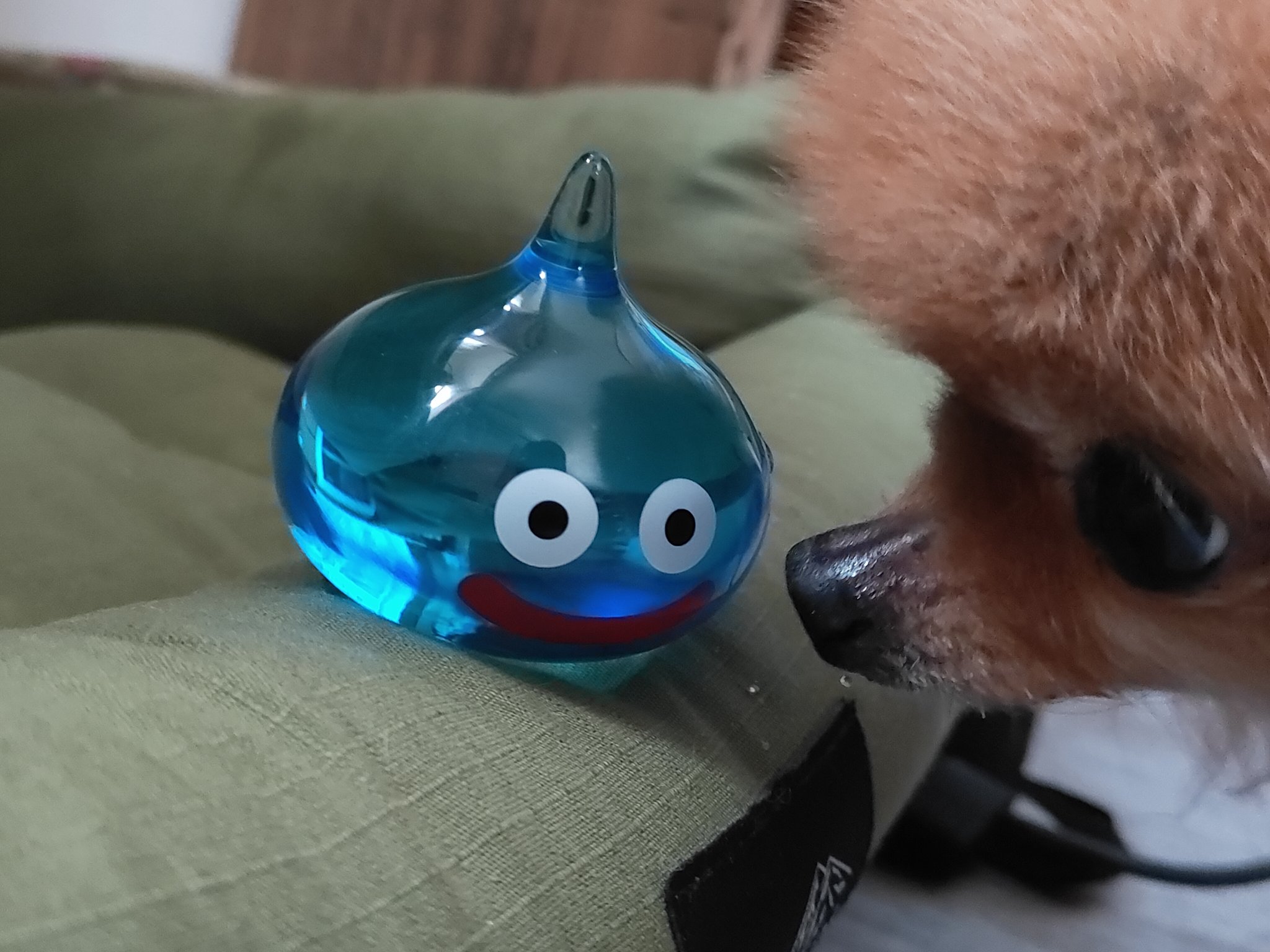 もふ⭐まとめ購入 50~200円引き⭐ リクエスト 10点 まとめ商品 鬼速FX 時給21万円の「神・短期トレード」 | もちぽよ | 外国