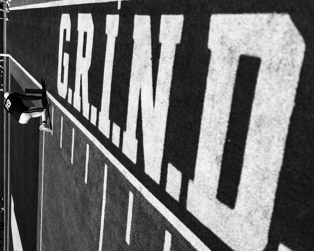 David Gray tweet media